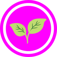 Organic cotton